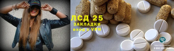 прущие грибы Алзамай