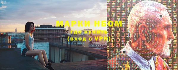 прущие грибы Алзамай