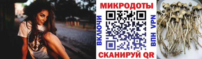 хочу   гидра вход  Галлюциногенные грибы мицелий  Шелехов 